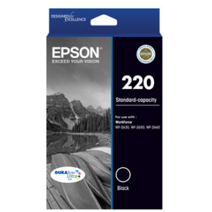 Epson C13T293192 ink cartridge Original Standard Yield Black