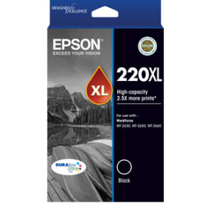 Epson C13T294192 ink cartridge Original High (XL) Yield Black